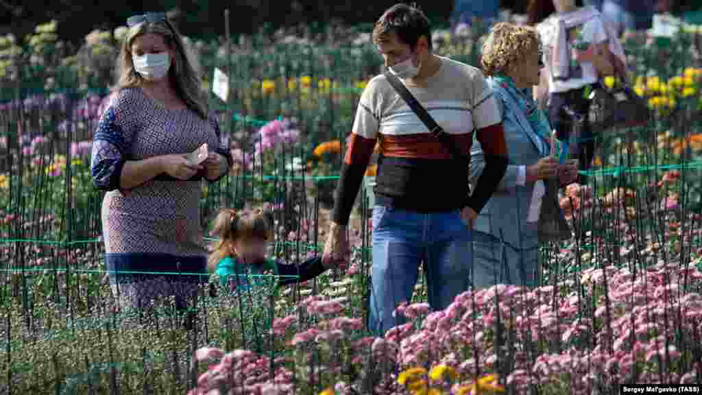 Крім Балу хризантем, відвідувачі можуть пройтися виставками тюльпанів, латаття, троянд, ірисів, лілійників і клематисів