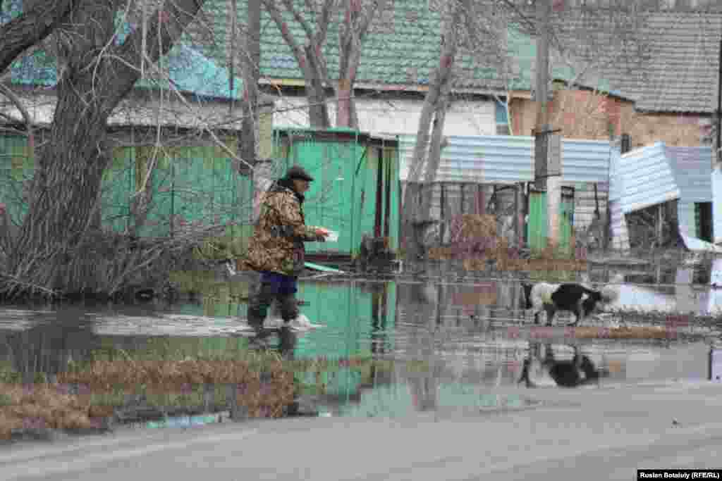 Ауласына кіре алмай қалған итке тамақ беріп жатқан ер адам.