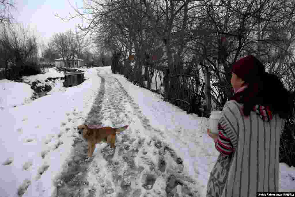 Жамбайлық қазақ әйел көршісінен сүт алып қайтып барады.