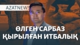 Өлген сарбаз, қырылған итбалық, санкцияға ілінген компаниялар – AzatNEWS | 08.11.2024