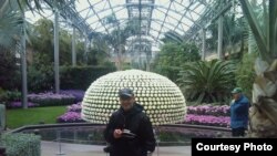 Зимний сад Longwood Gardens