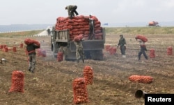 Красноярск өңірінде жұмыс істеп жүрген өзбекстандық мигранттар. Ресей, 7 қыркүйек 2015 жыл. (Көрнекі сурет)