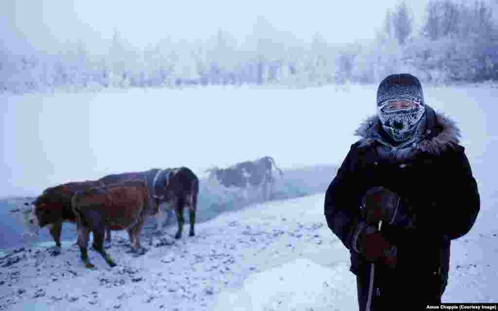 Оймякон атауы жергілікті тілден аударғанда &quot;Қатпайтын су&quot; деген мағына береді. Малдар су ішіп жатқан бұлақ қыс бойы қатпайды.&nbsp;